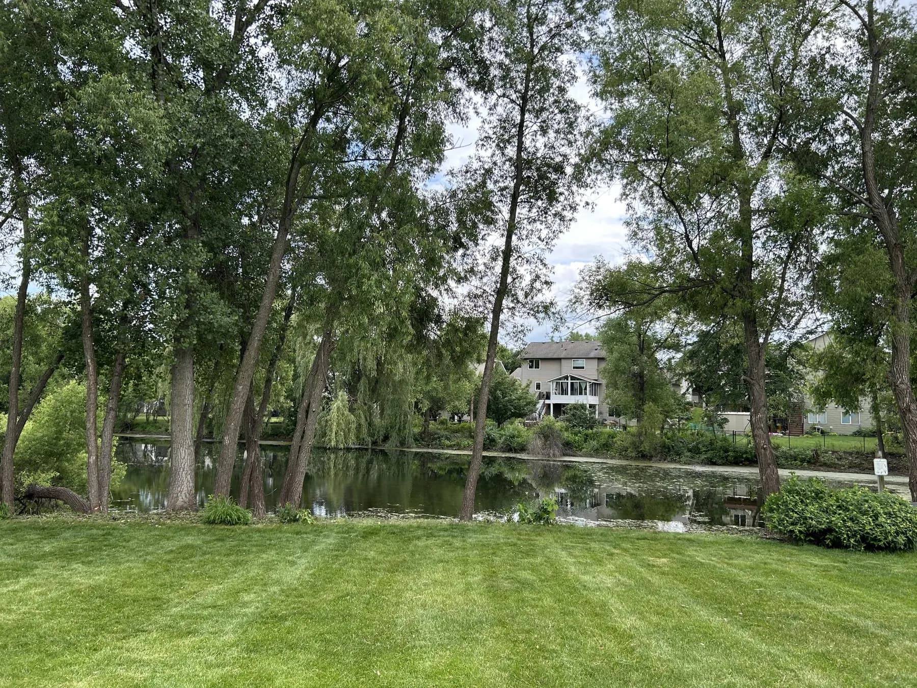 Freshly striped lakeside lawn mowed by Lofton Landscaping in Lakeville MN